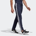 PANT. ALG. RECTO