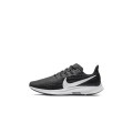 NIKE WMNS PEGASUS AQ2210-004 NIKE WMNS PEGASUS