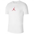 CAMISETA NIKE JORDAN CW5190-101 CTA, JORDAN