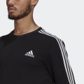 SUDADERA  C/CAJA