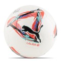 BALON OFICIAL LIGA