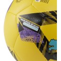 BALON OFICIAL LIGA