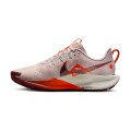 NIKE PEGASUS TRAIL  WMNS
