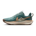 NIKE PEGASUS TRAIL  WMNS