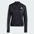 CHANDAL ACETATO
