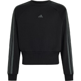 SUDADERA NIÑA C/CAJA     CONJ. 3202