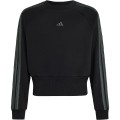 SUDADERA NIÑA C/CAJA     CONJ. 3202