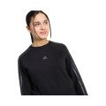 SUDADERA NIÑA C/CAJA     CONJ. 3202