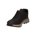 BOTA