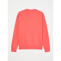 SUDADERA C/CAJA