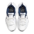 AIR MONARCH IV