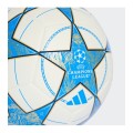 BALON CHAMPION