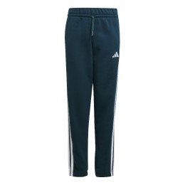 PANTA.                              CONJ. 3404