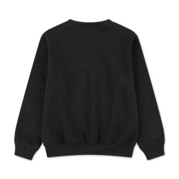 SUDADERA C/CAJA  JORDAN