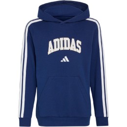 SUDADERA C/CAPUCHA NIÑO