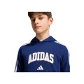 SUDADERA C/CAPUCHA NIÑO