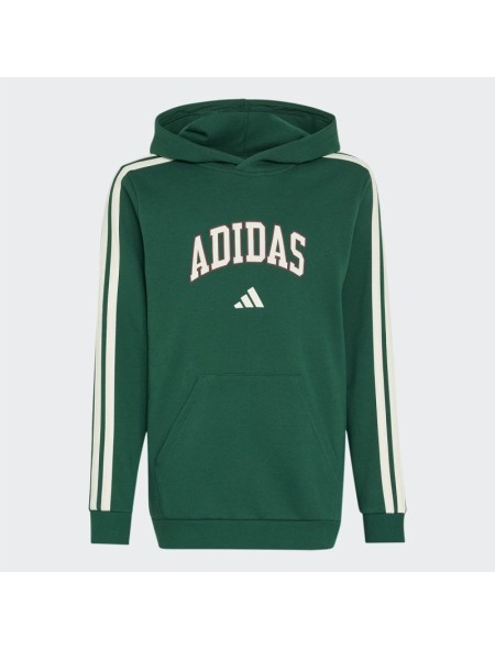 SUDADERA C/CAPUCHA NIÑO