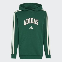 SUDADERA C/CAPUCHA NIÑO
