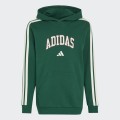 SUDADERA C/CAPUCHA NIÑO