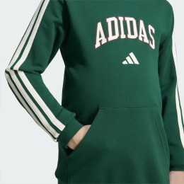 SUDADERA C/CAPUCHA NIÑO