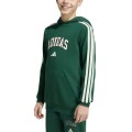 SUDADERA C/CAPUCHA NIÑO
