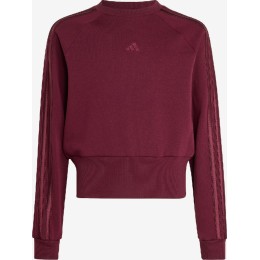 SUDADERA NIÑA C/CAJA     CONJ. 3202