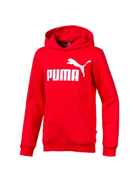 Sudadera Puma con Capucha