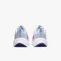Nike Downshifter DD9293-006 DOWNSHIFTER